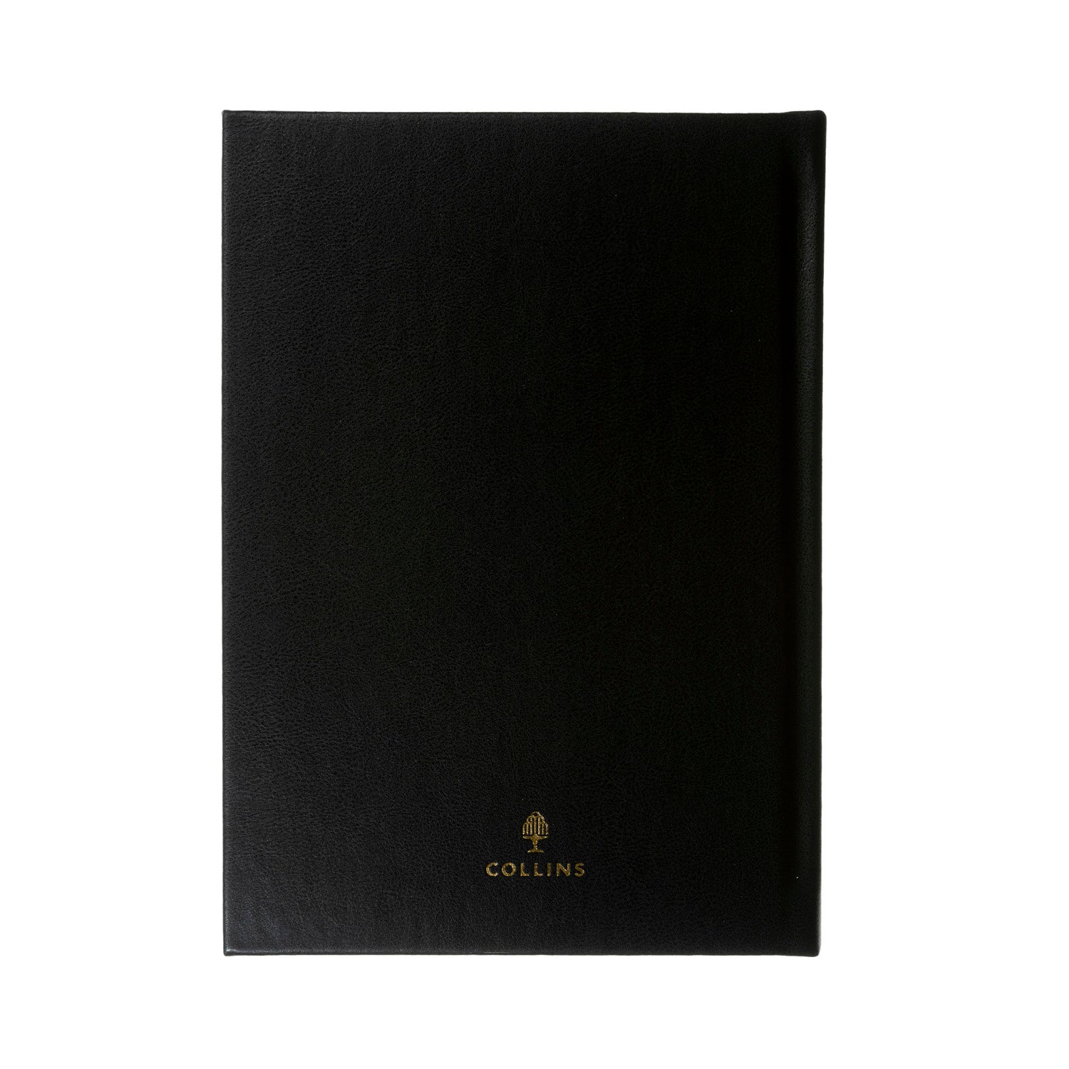 Classic - Compact Day-to-Page Diary with Appointments - 2026 Calendar Year Planner