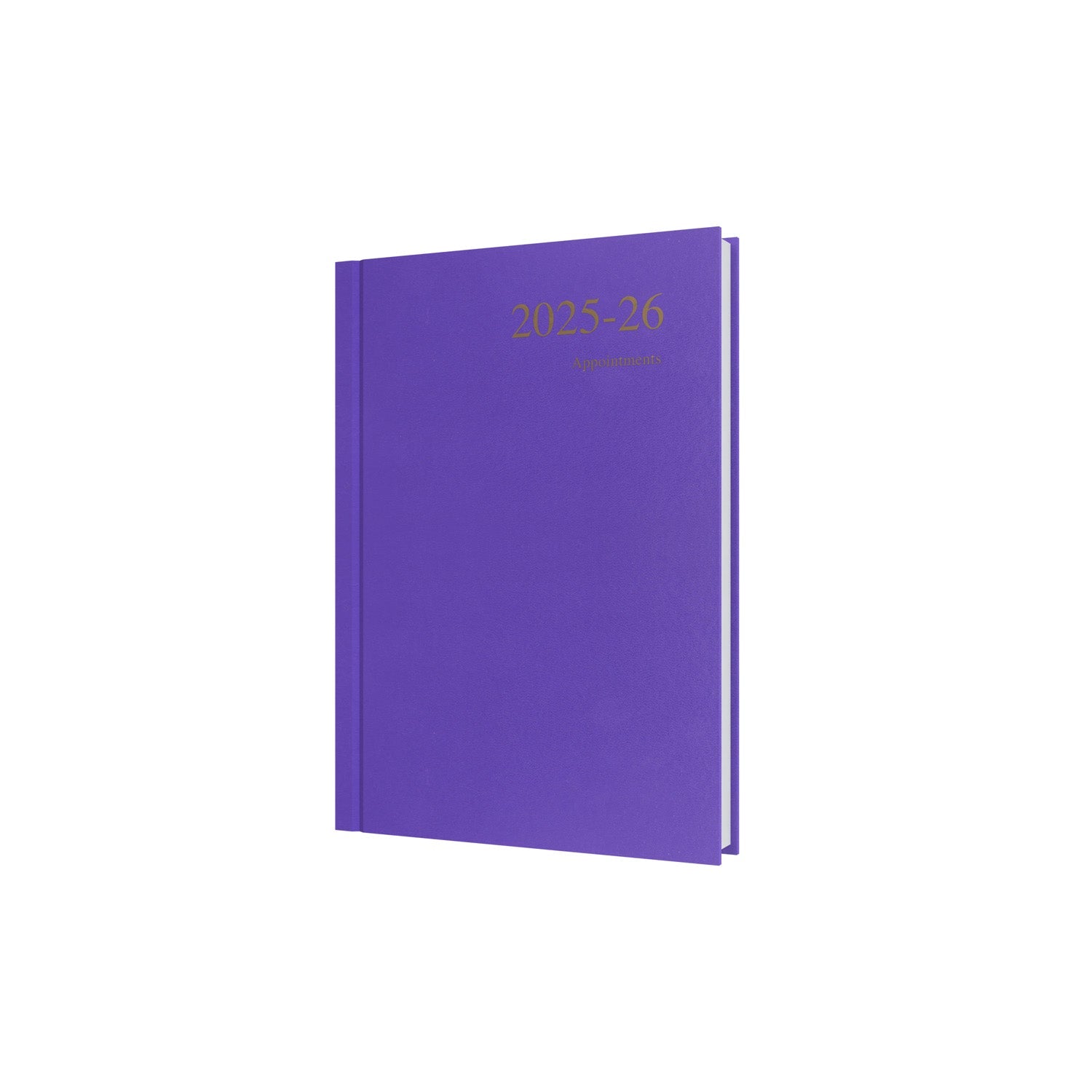 Essentials - A5 Day-to-Page with Appointments Mid/Academic Year Diary Planner, July 2025 - July 2026